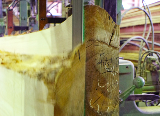 木材事業のイメージ写真